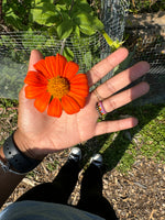 Load image into Gallery viewer, Mini Stripe Ring - pink fun
