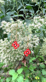 Load and play video in Gallery viewer, MONARCH BUTTERFLY CHARM
